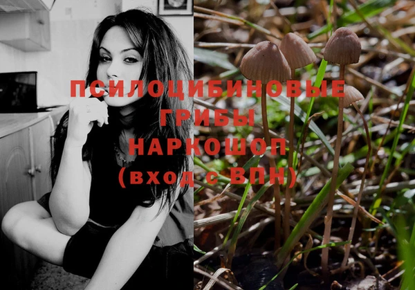 гидропоника Абдулино