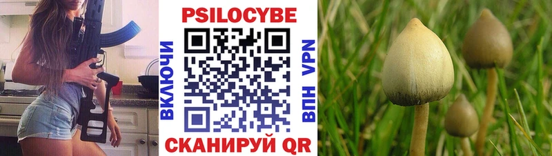 Псилоцибиновые грибы Magic Shrooms  хочу   Кинешма 
